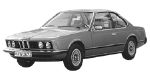 BMW E24 P060B Fault Code