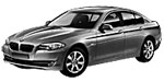 BMW F10 P060B Fault Code
